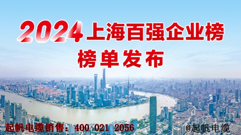 2024年上海百?gòu)?qiáng)企業(yè)榜單發(fā)布